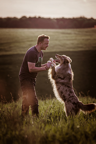 Hunde Fotoshootings