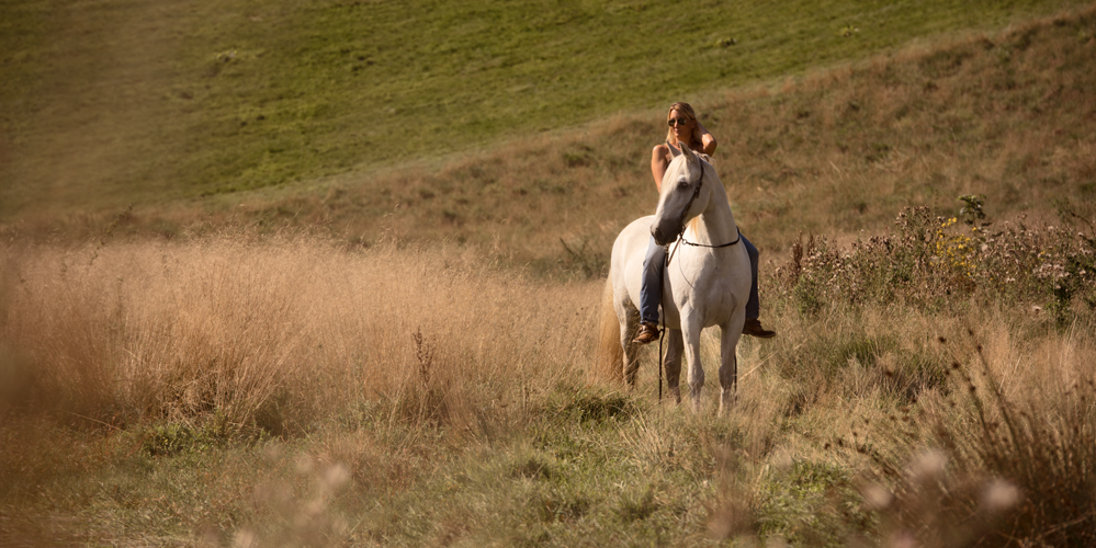 Fotoshooting mit Pferd in der Nähe